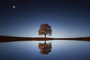 Read more about the article Dies ist ein Beitrag