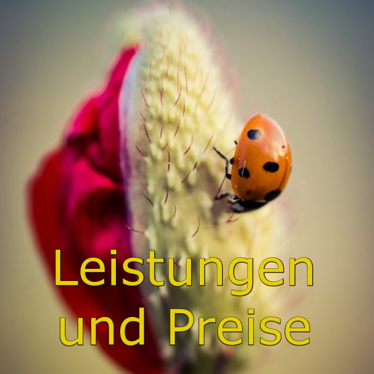 Übersicht der Dienstleistungen
