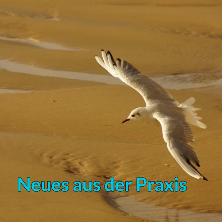 Neuigkeiten aus der Praxis