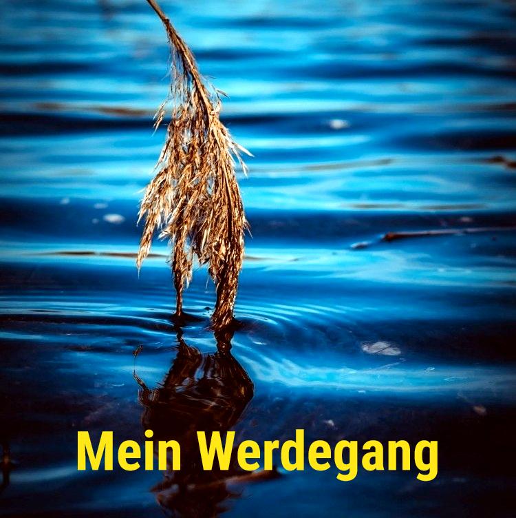 Mein Werdegang